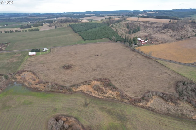 bird's eye view with a rural view