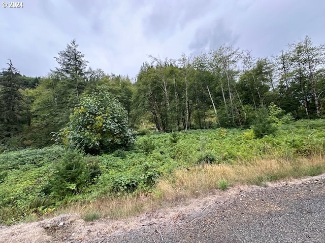 0 N Dubois Rd, Ariel WA, 98603 land for sale