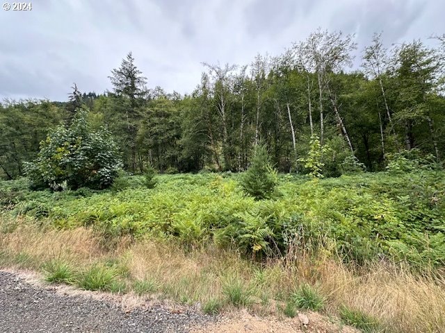 Listing photo 2 for 0 N Dubois Rd, Ariel WA 98603