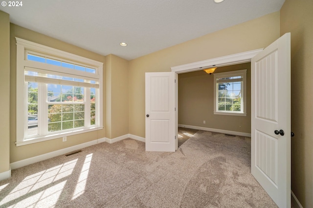 empty room featuring a healthy amount of sunlight and light carpet