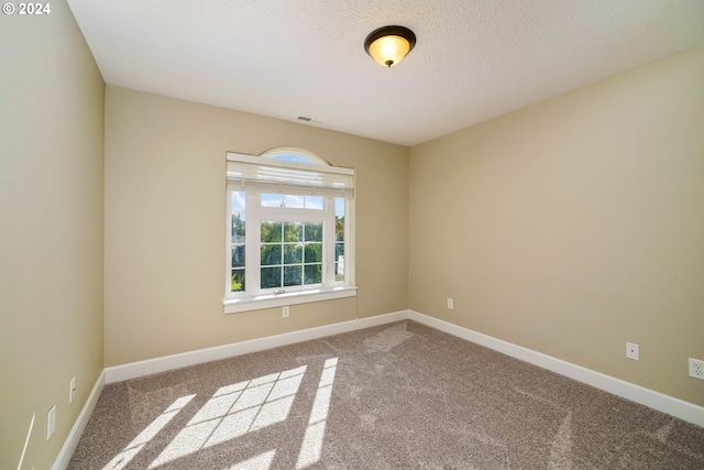 empty room featuring carpet floors and a textured ceiling