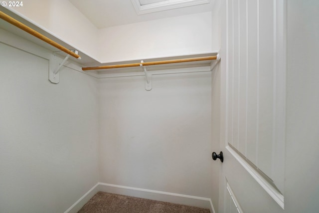 spacious closet featuring carpet