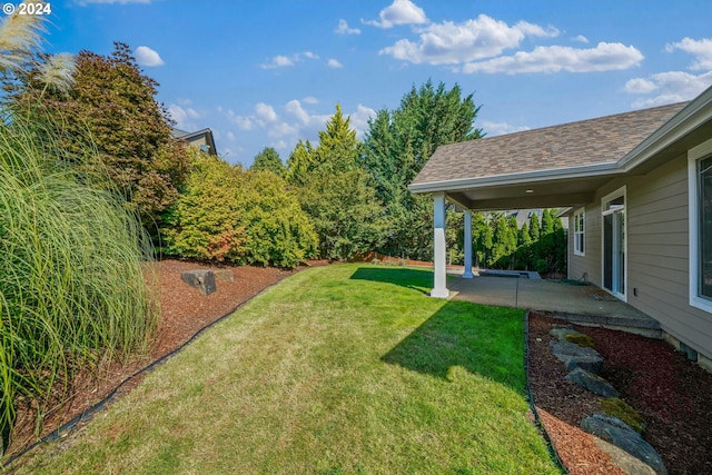 view of yard featuring a patio area