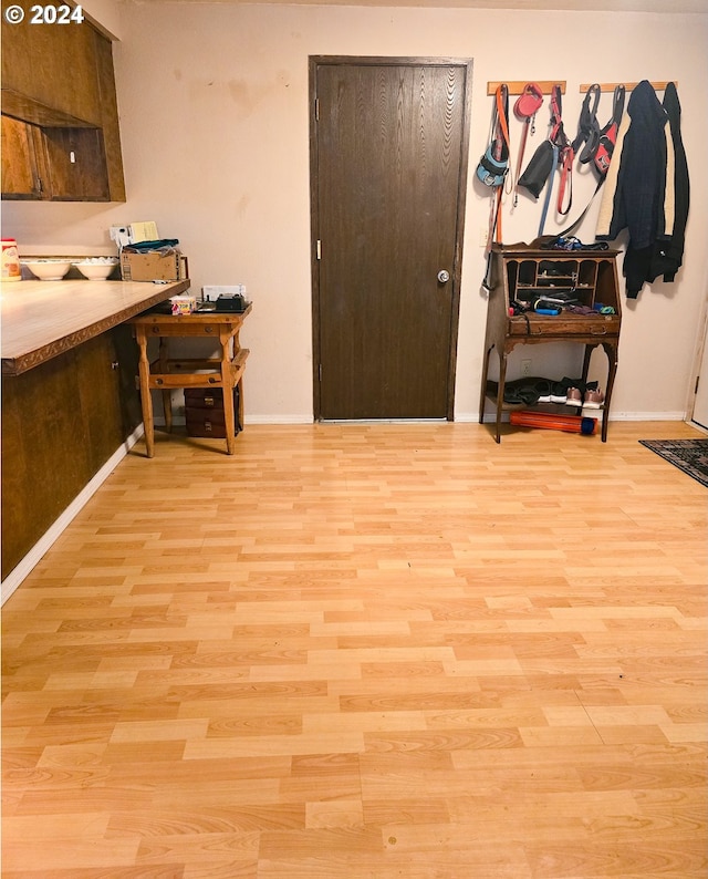 foyer entrance featuring light hardwood / wood-style floors