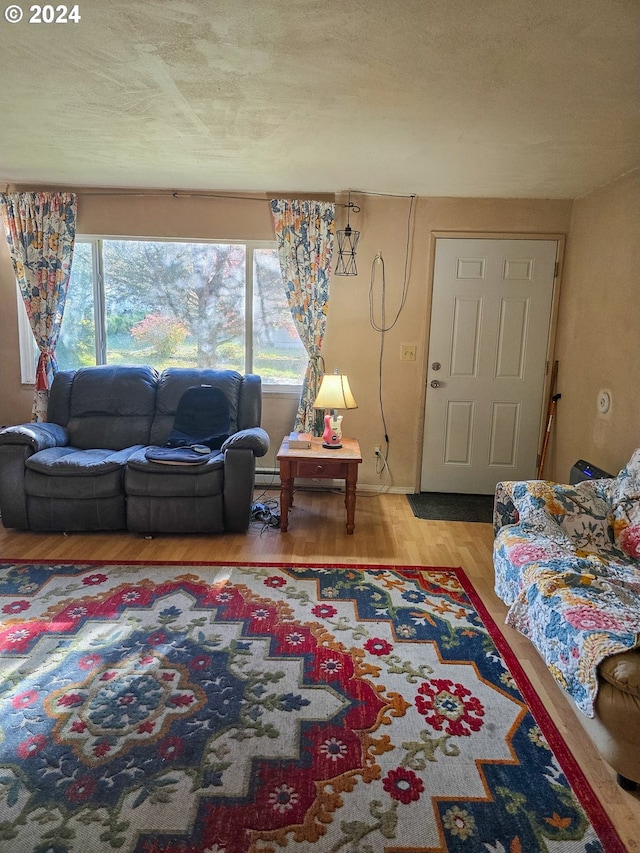 living room featuring a wealth of natural light, a textured ceiling, and hardwood / wood-style flooring