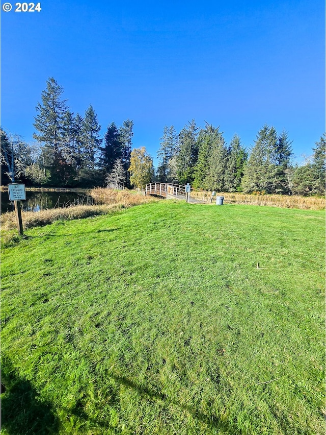 view of yard with a rural view