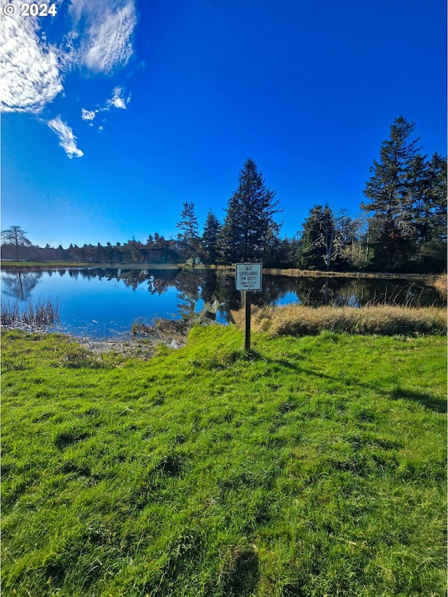 view of yard featuring a water view