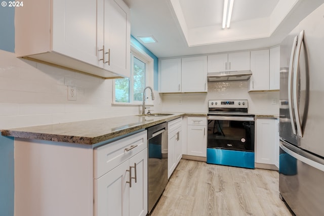 kitchen with white cabinets, sink, light wood-type flooring, appliances with stainless steel finishes, and a tray ceiling