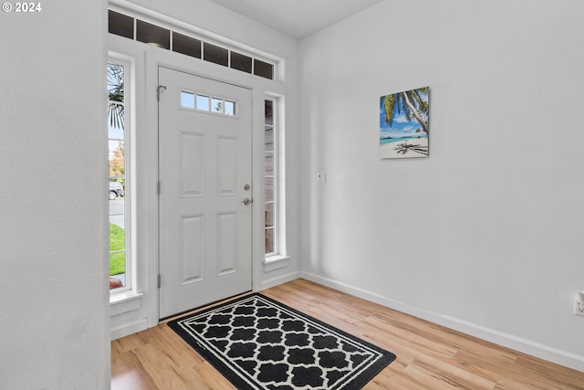 foyer entrance featuring wood-type flooring