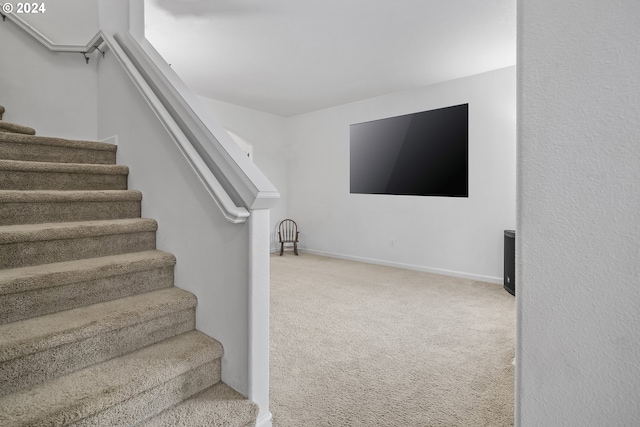 staircase with carpet