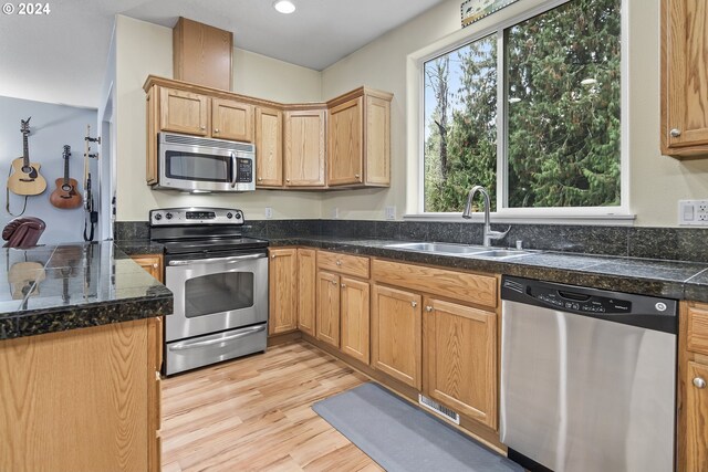 kitchen with light hardwood / wood-style floors, stainless steel appliances, and sink