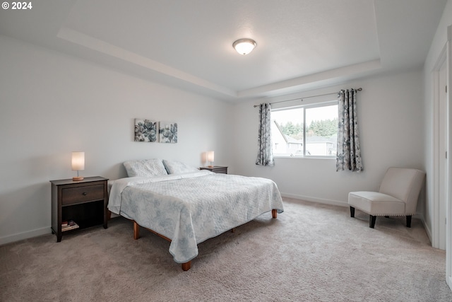 carpeted bedroom featuring a raised ceiling