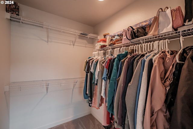 walk in closet featuring carpet floors