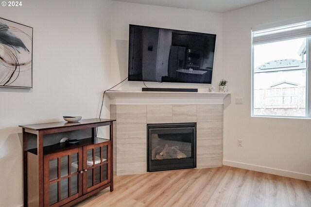 details featuring a fireplace and wood-type flooring