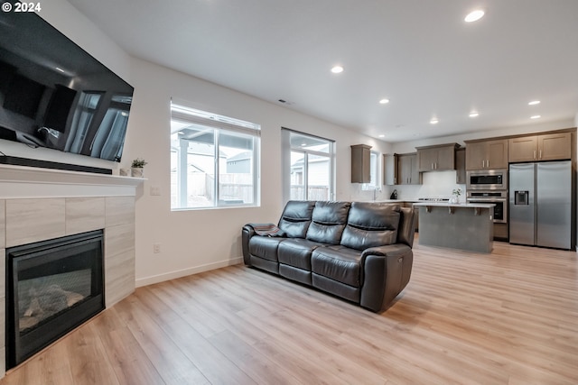 living room featuring a fireplace and light wood-type flooring