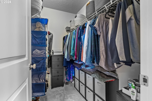 walk in closet with light carpet