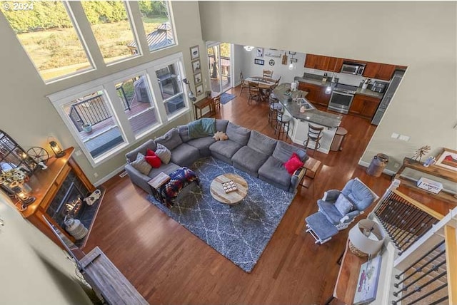 living room with wood-type flooring and a high ceiling