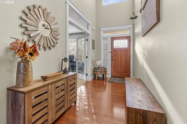 foyer featuring dark wood-type flooring and a wealth of natural light