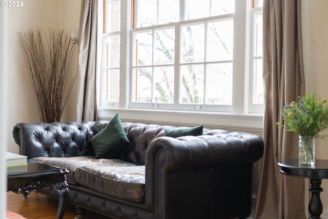 living room with hardwood / wood-style flooring