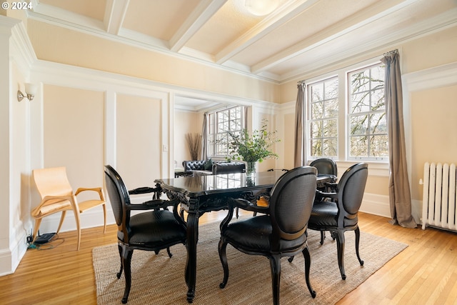 dining space featuring beamed ceiling, light wood-type flooring, crown molding, and radiator