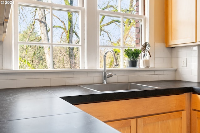 kitchen featuring tasteful backsplash, plenty of natural light, and sink