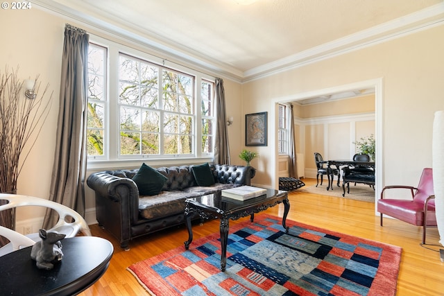 living room featuring hardwood / wood-style floors and ornamental molding