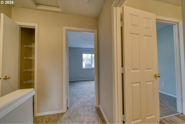 hall featuring light colored carpet