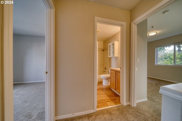 hallway with light carpet