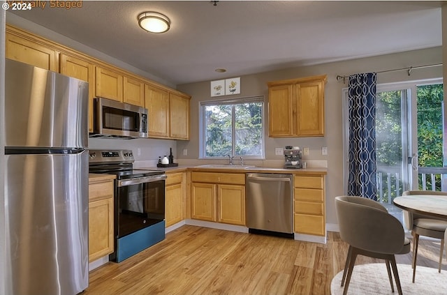 kitchen featuring stainless steel appliances, light hardwood / wood-style flooring, a healthy amount of sunlight, and sink