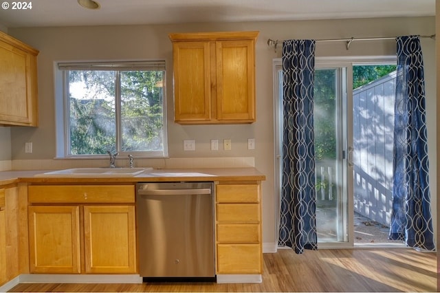 kitchen with stainless steel dishwasher, light hardwood / wood-style floors, and sink