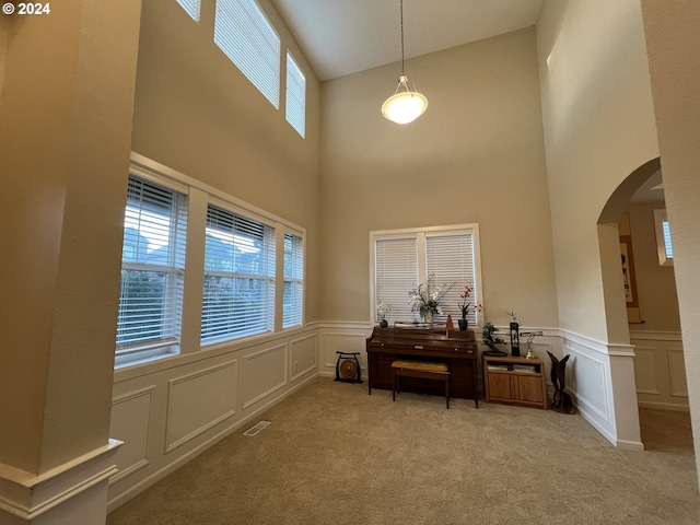 miscellaneous room featuring a high ceiling and light carpet