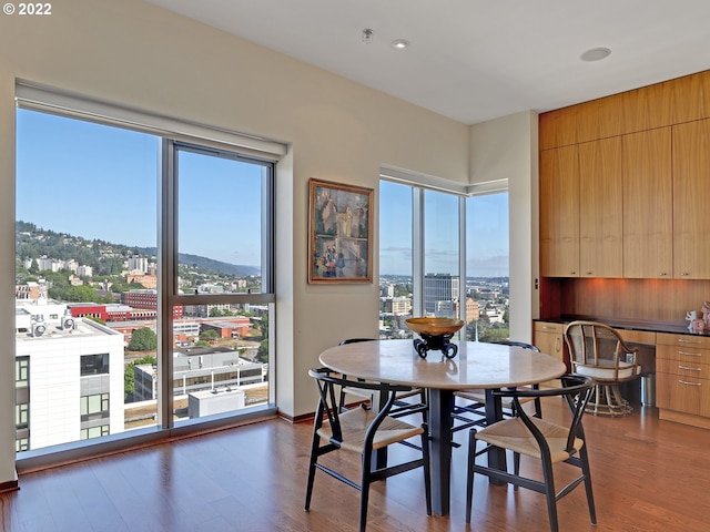 dining room featuring a wealth of natural light, a mountain view, and dark wood-type flooring