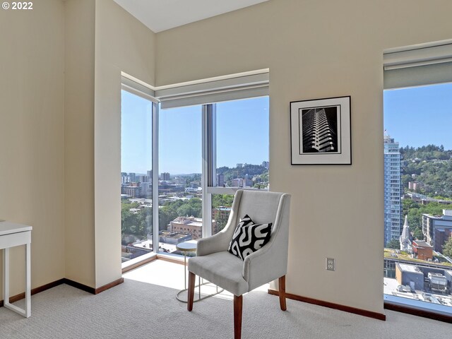 office area featuring light colored carpet