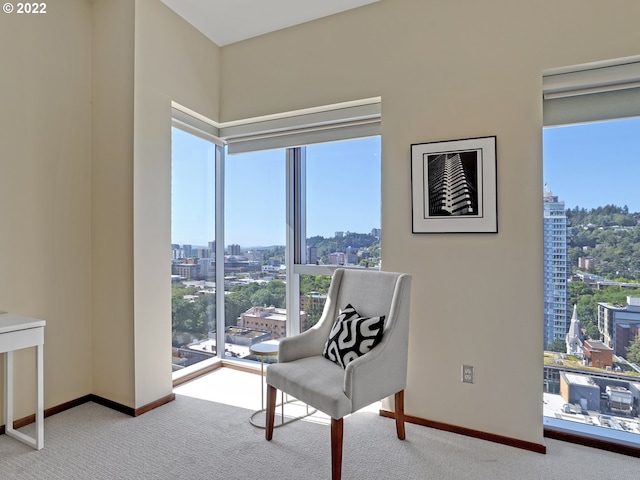 sitting room with light carpet and plenty of natural light