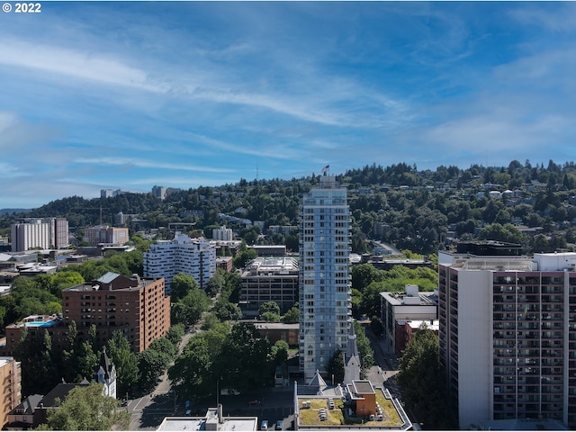 property's view of city