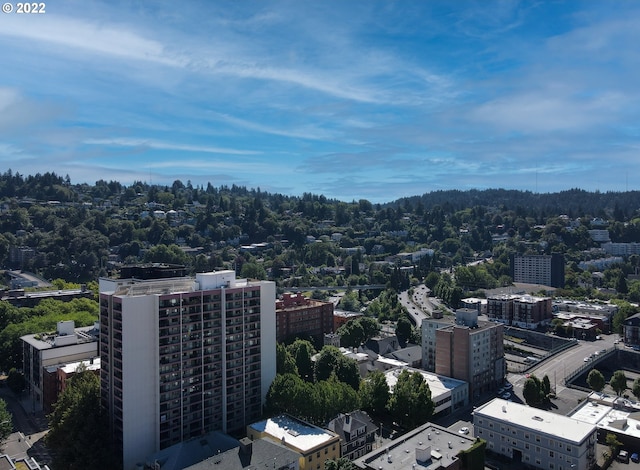 bird's eye view