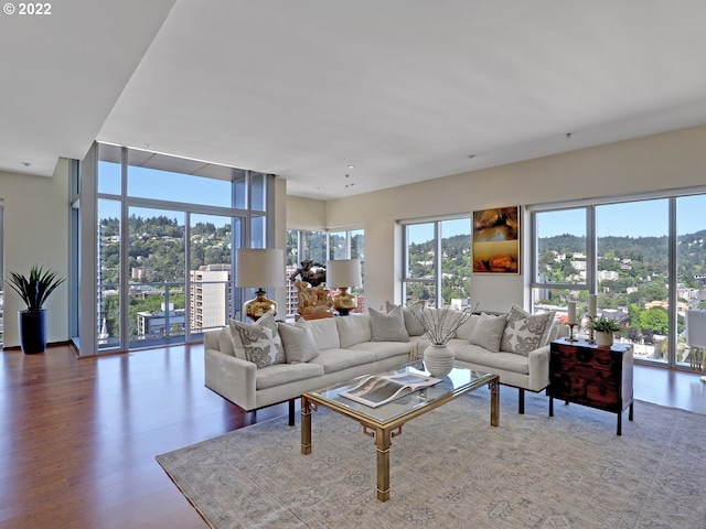 living room featuring hardwood / wood-style floors