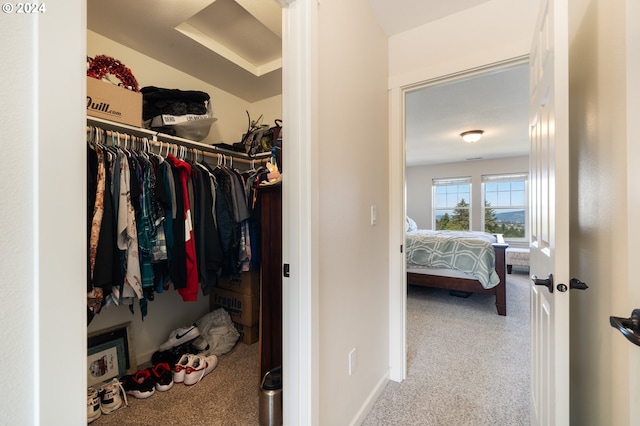 spacious closet with carpet flooring