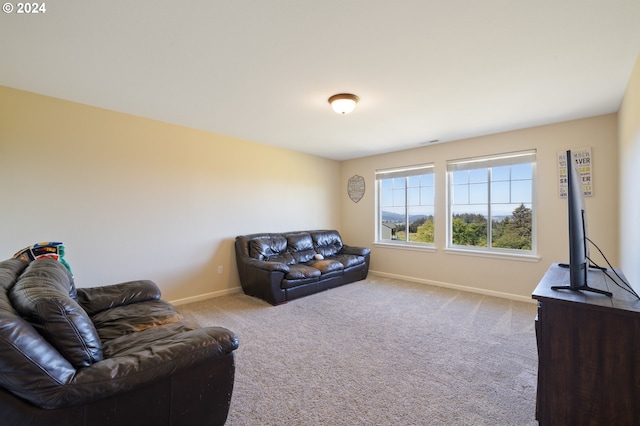 living room featuring light carpet