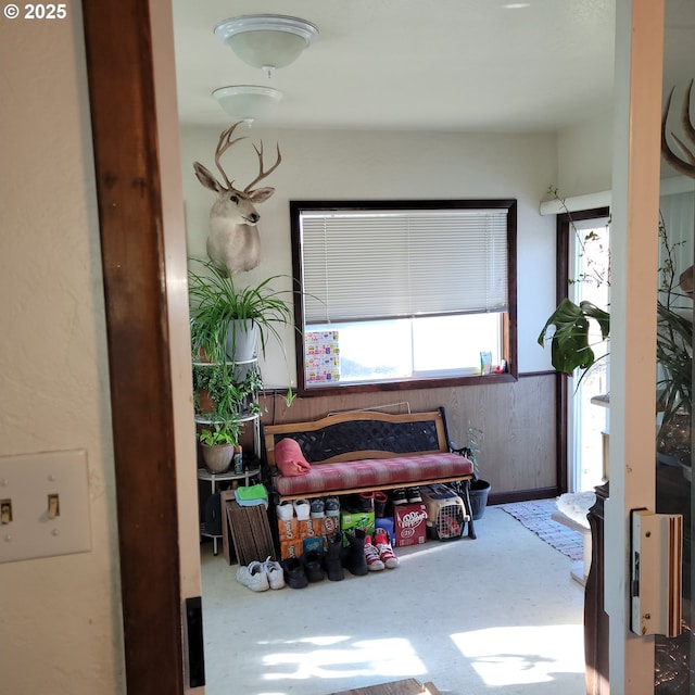 living area featuring wooden walls and a wainscoted wall