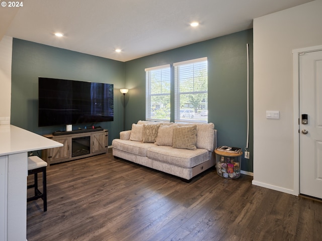 living room featuring dark hardwood / wood-style flooring