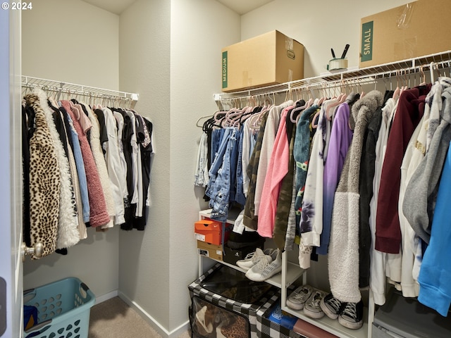 walk in closet with carpet flooring