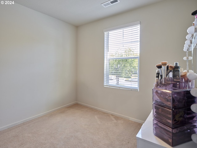 empty room featuring a wealth of natural light and light carpet