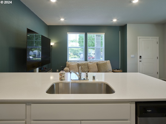 kitchen with stainless steel dishwasher and sink