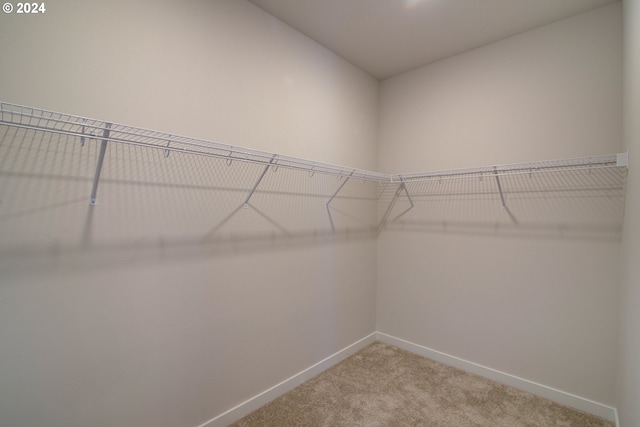 spacious closet featuring light carpet