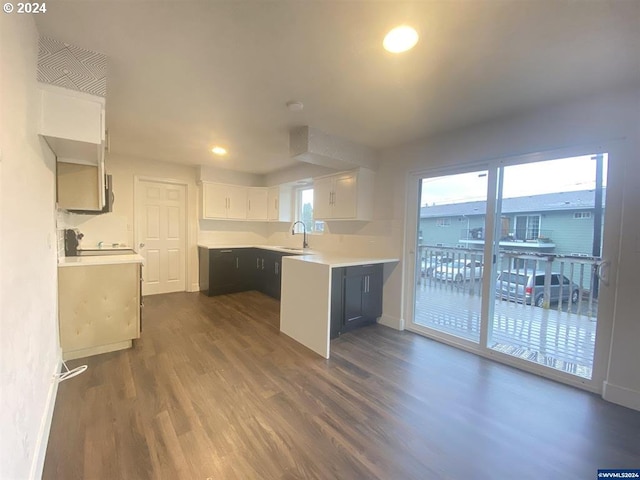 kitchen with sink, dark wood-type flooring, white cabinetry, and a wealth of natural light