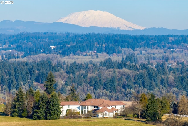 view of mountain feature featuring a wooded view