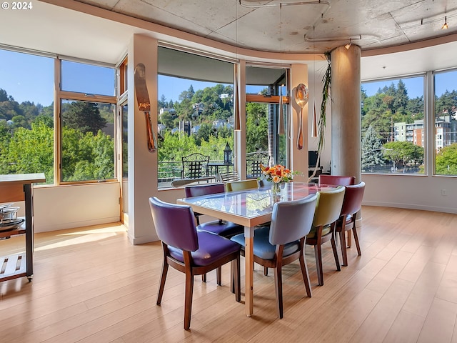 sunroom with a healthy amount of sunlight