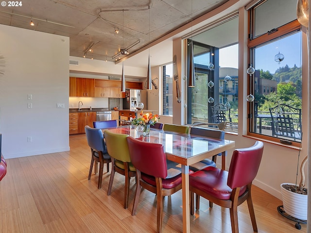 dining room with sink, track lighting, and light wood-type flooring