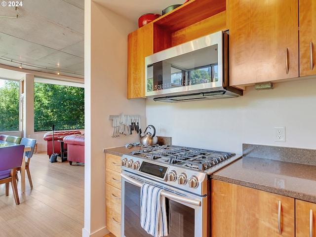 kitchen featuring light hardwood / wood-style floors and appliances with stainless steel finishes